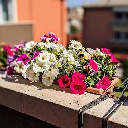 Alojamento de Acomodação e Pequeno-almoço The Way Desenzano del Garda